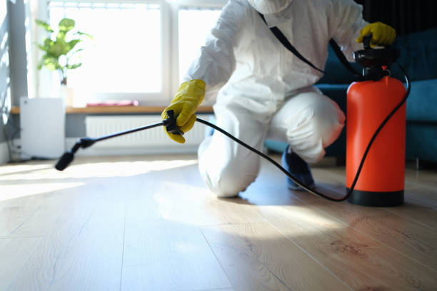 Reliable Biohazard contractor in Mojave, CA by Dulley Family Biohazard Services